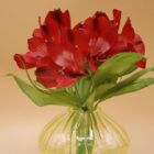 opening vaas met bloem