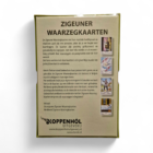 Zigeuner Waarzegkaarten set met 36 kaarten en workbook